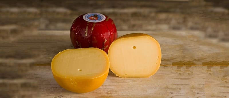 origen del queso edam