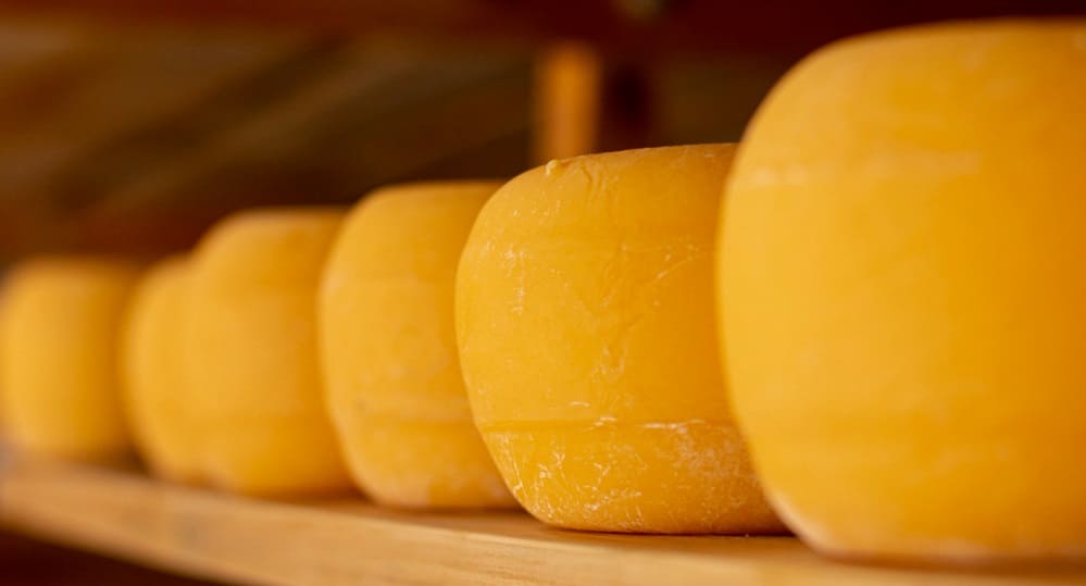 queso de bola edam