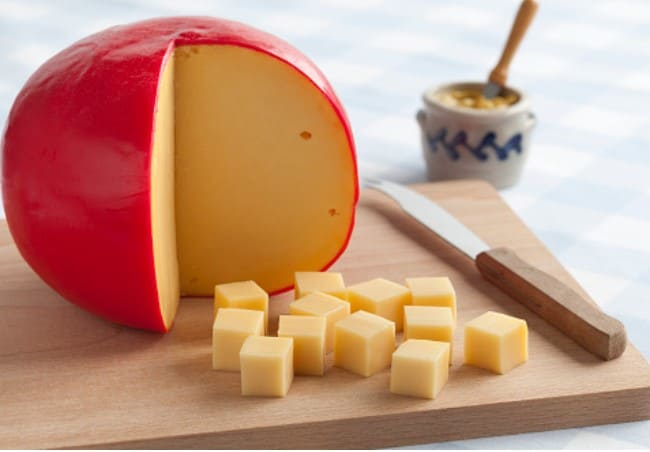 todo sobre el queso edam